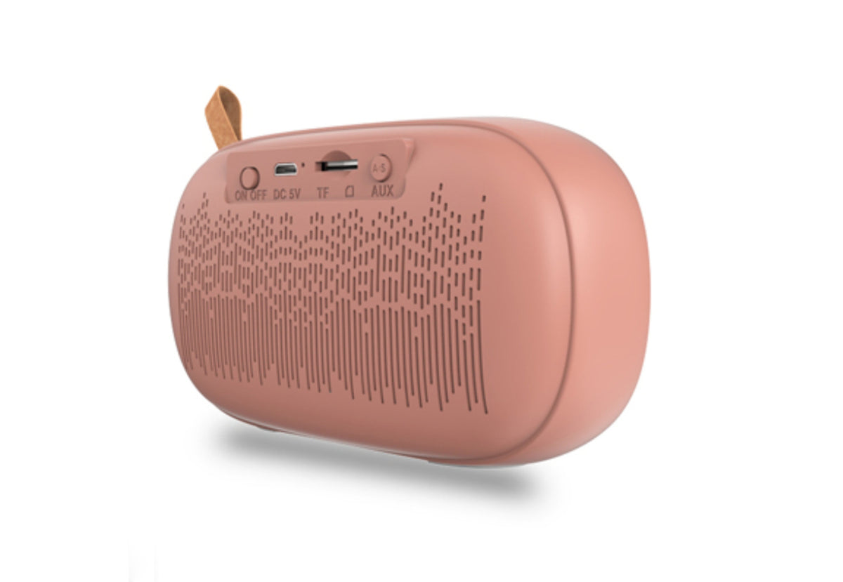 VieFong Cloud Intercom Karaoke Speaker